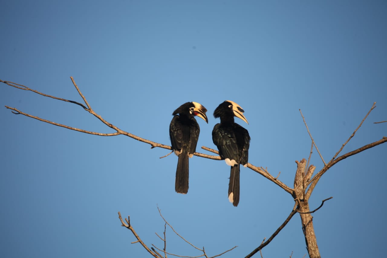 Delhi Agra Corbett Tour Banner
